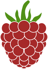 Berries.kids logo